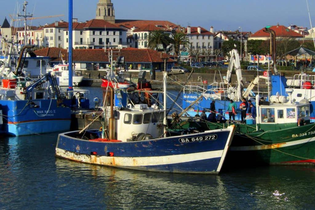 Maison Individuelle Cote Basque ซีบูร์ ภายนอก รูปภาพ